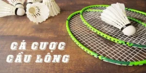 Bí Kíp Chinh Phục Cá Cược Cầu Lông Tại AE888: Hướng Dẫn Chi Tiết