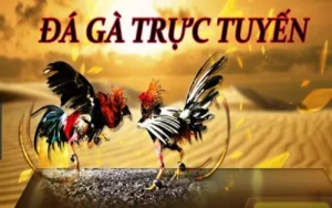 Bí Quyết Thắng Lớn Với Đá Gà WS168 Tại AE888: Hướng Dẫn Chi Tiết